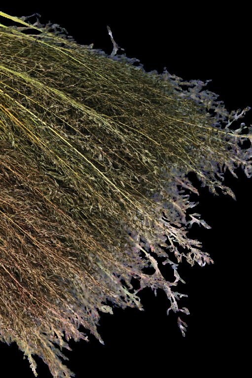 Fiber Optic Grass